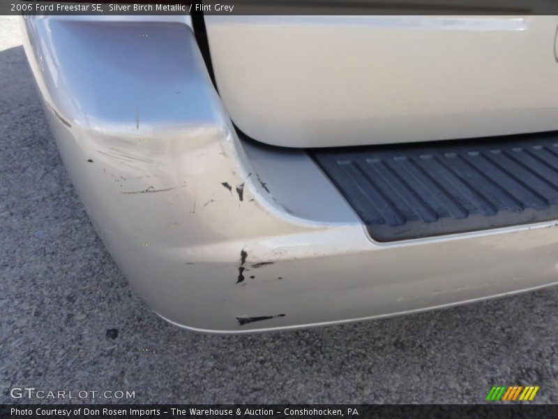 Silver Birch Metallic / Flint Grey 2006 Ford Freestar SE