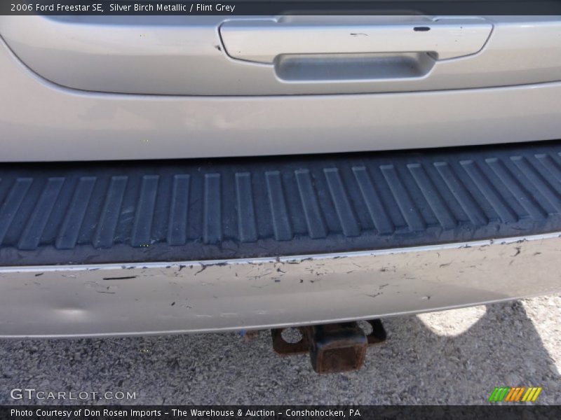 Silver Birch Metallic / Flint Grey 2006 Ford Freestar SE
