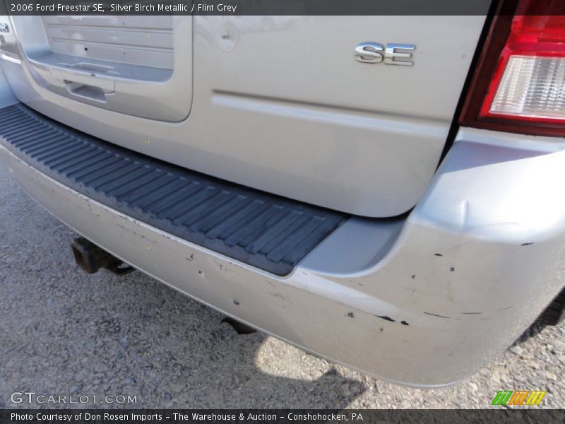 Silver Birch Metallic / Flint Grey 2006 Ford Freestar SE