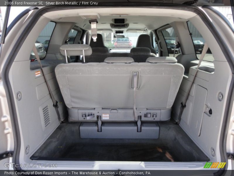 Silver Birch Metallic / Flint Grey 2006 Ford Freestar SE