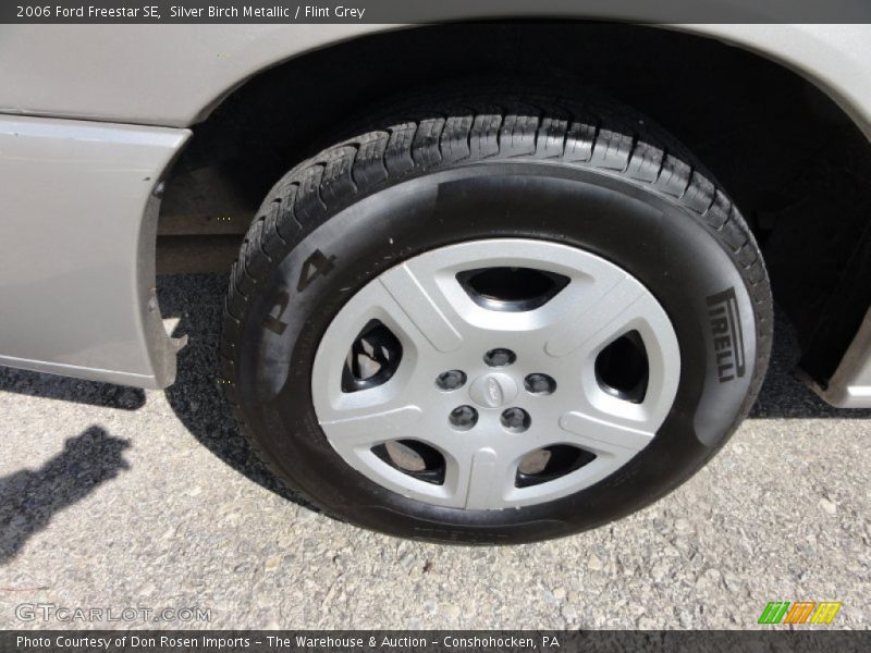 Silver Birch Metallic / Flint Grey 2006 Ford Freestar SE