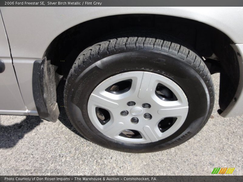 Silver Birch Metallic / Flint Grey 2006 Ford Freestar SE