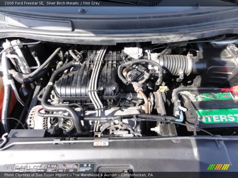 Silver Birch Metallic / Flint Grey 2006 Ford Freestar SE