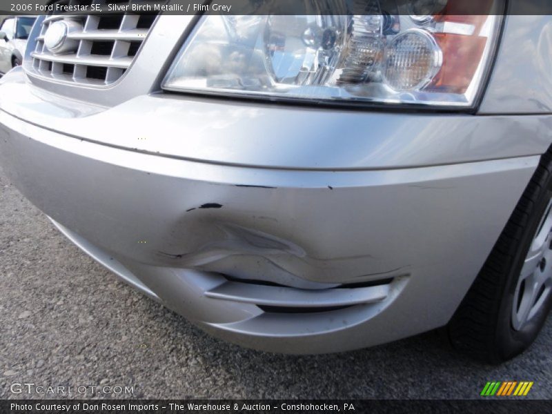 Silver Birch Metallic / Flint Grey 2006 Ford Freestar SE