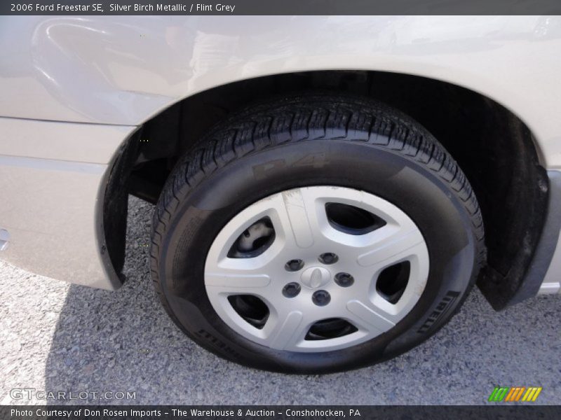 Silver Birch Metallic / Flint Grey 2006 Ford Freestar SE