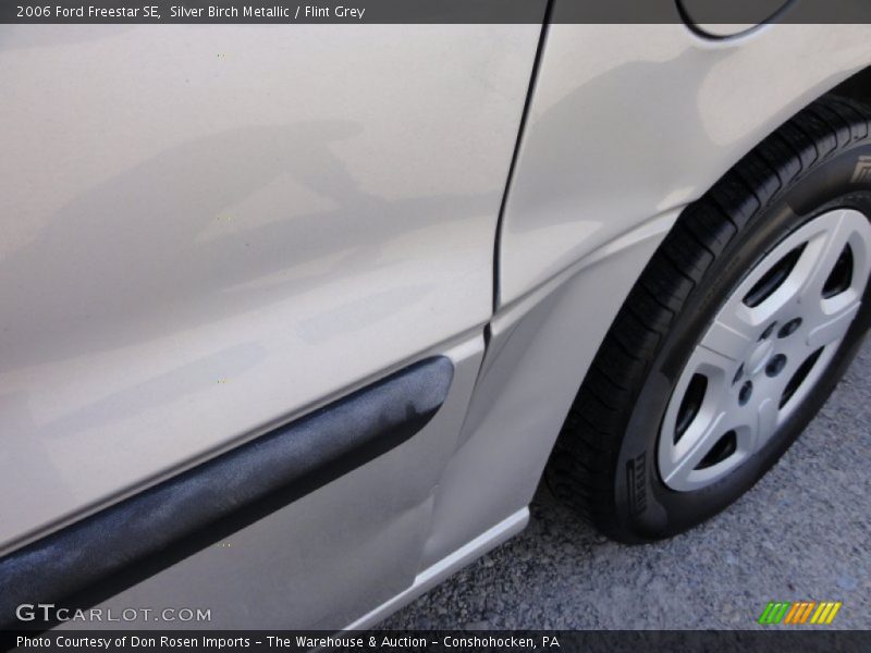 Silver Birch Metallic / Flint Grey 2006 Ford Freestar SE