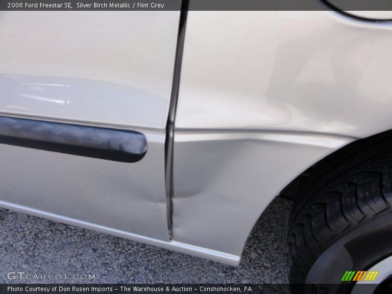 Silver Birch Metallic / Flint Grey 2006 Ford Freestar SE