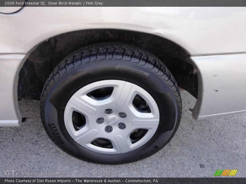 Silver Birch Metallic / Flint Grey 2006 Ford Freestar SE