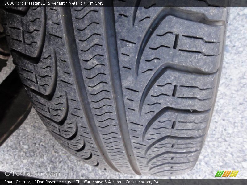 Silver Birch Metallic / Flint Grey 2006 Ford Freestar SE