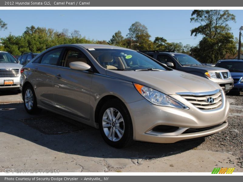 Camel Pearl / Camel 2012 Hyundai Sonata GLS