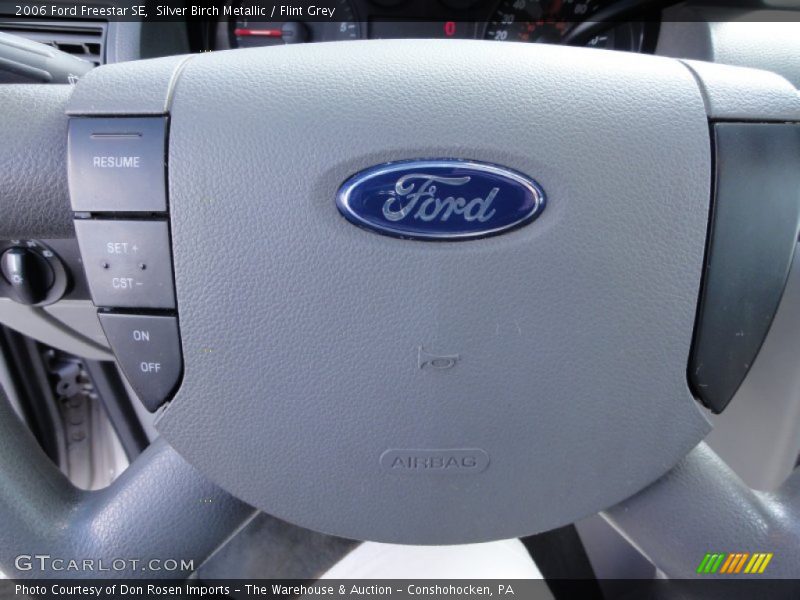 Silver Birch Metallic / Flint Grey 2006 Ford Freestar SE