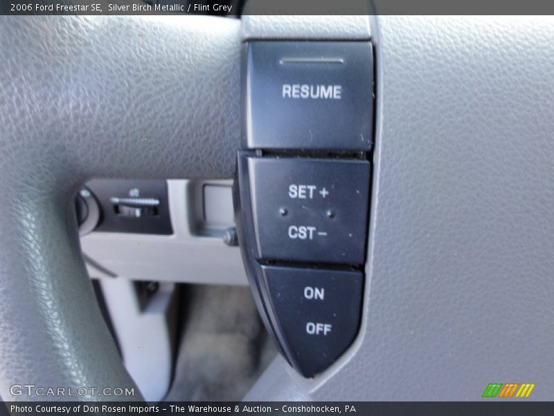 Silver Birch Metallic / Flint Grey 2006 Ford Freestar SE
