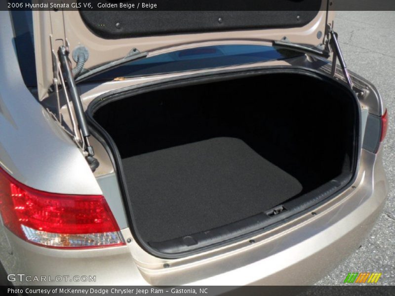 Golden Beige / Beige 2006 Hyundai Sonata GLS V6