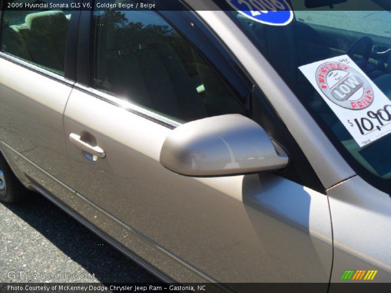 Golden Beige / Beige 2006 Hyundai Sonata GLS V6