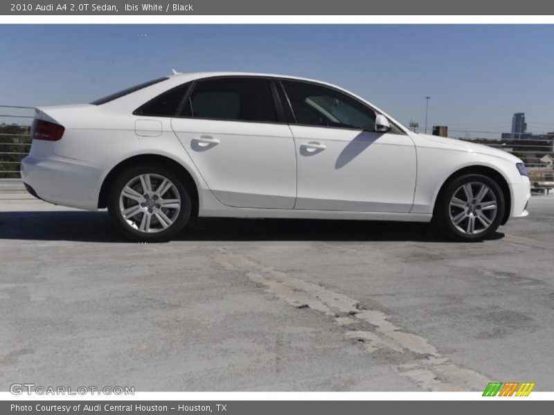 Ibis White / Black 2010 Audi A4 2.0T Sedan