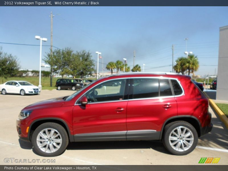 Wild Cherry Metallic / Black 2012 Volkswagen Tiguan SE