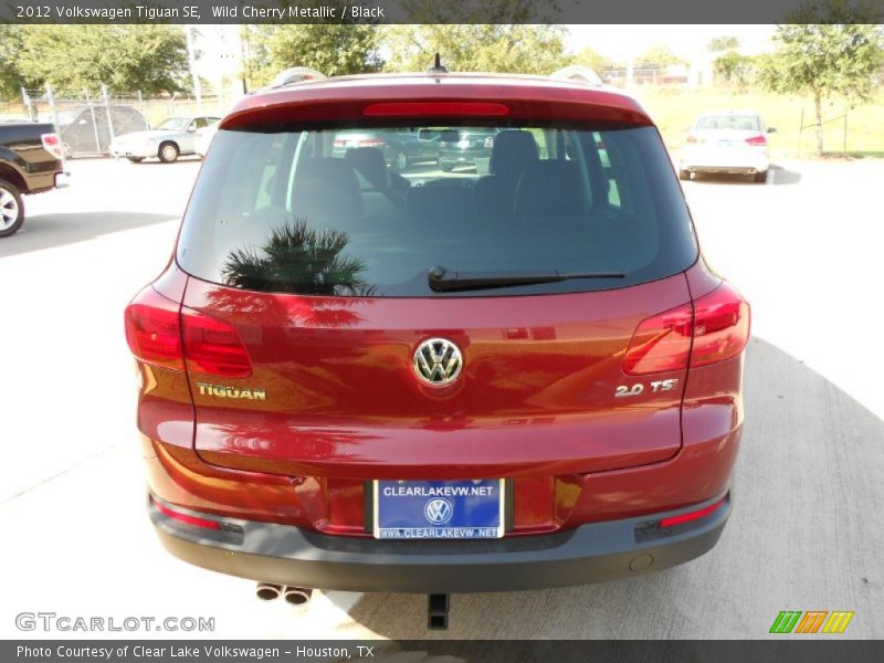 Wild Cherry Metallic / Black 2012 Volkswagen Tiguan SE