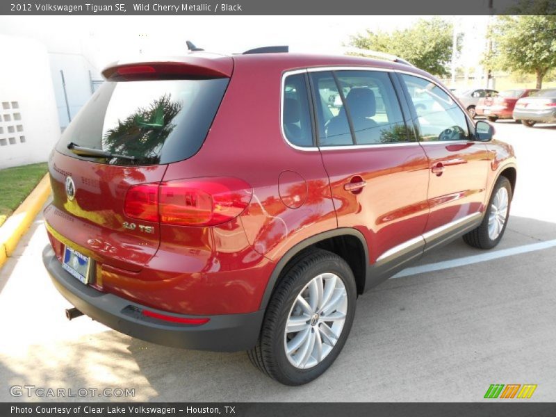 Wild Cherry Metallic / Black 2012 Volkswagen Tiguan SE