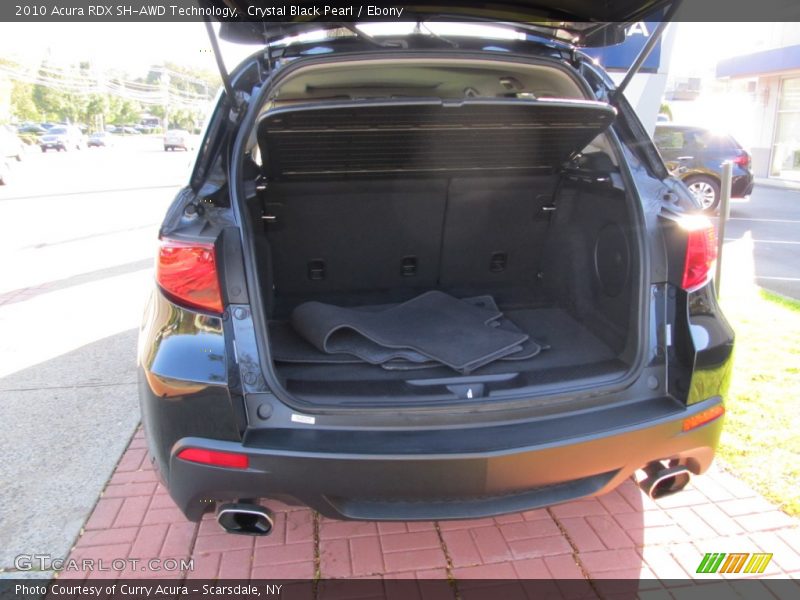 Crystal Black Pearl / Ebony 2010 Acura RDX SH-AWD Technology