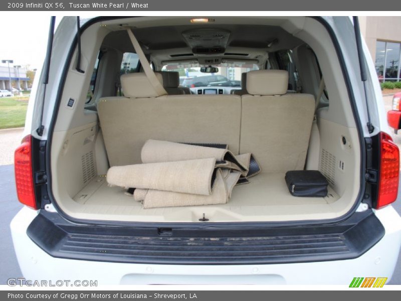  2009 QX 56 Trunk