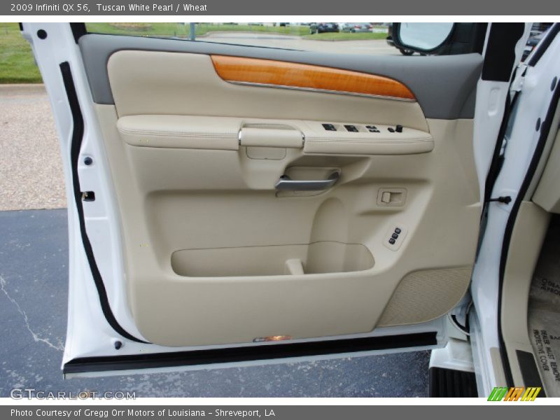 Door Panel of 2009 QX 56