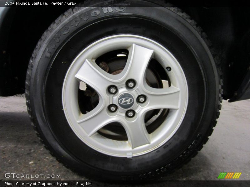 Pewter / Gray 2004 Hyundai Santa Fe