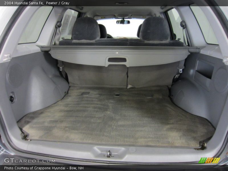 Pewter / Gray 2004 Hyundai Santa Fe