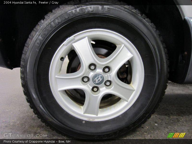 Pewter / Gray 2004 Hyundai Santa Fe