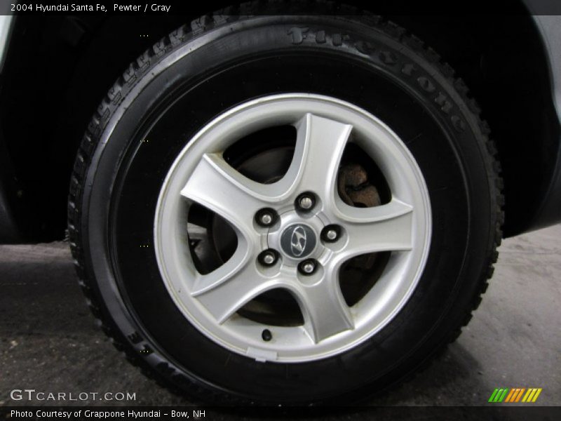 Pewter / Gray 2004 Hyundai Santa Fe