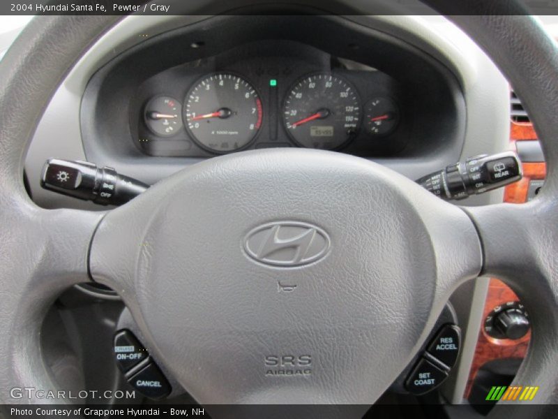 Pewter / Gray 2004 Hyundai Santa Fe