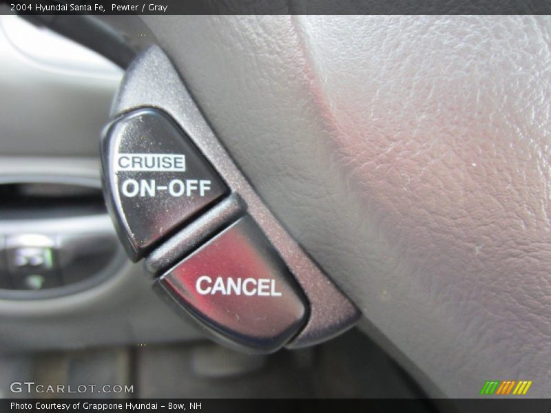 Pewter / Gray 2004 Hyundai Santa Fe