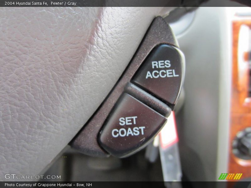Pewter / Gray 2004 Hyundai Santa Fe