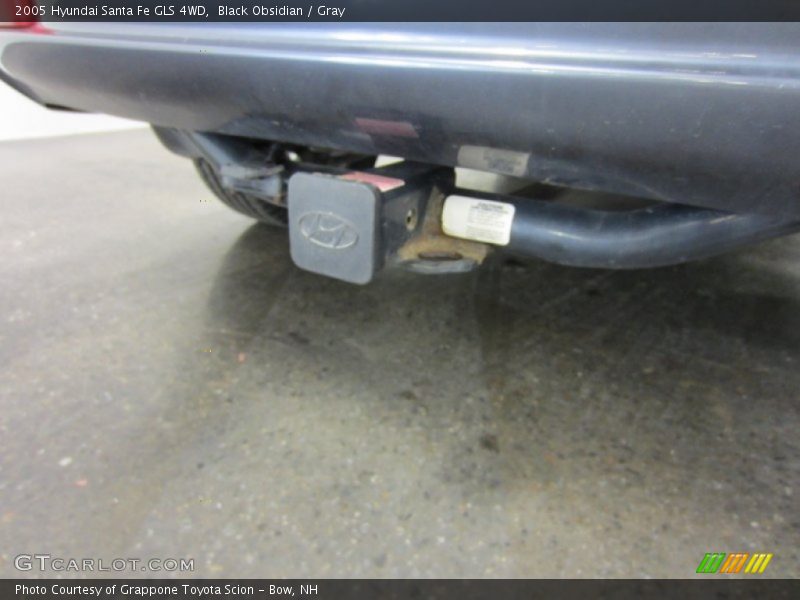 Black Obsidian / Gray 2005 Hyundai Santa Fe GLS 4WD