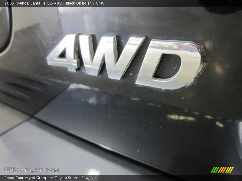 Black Obsidian / Gray 2005 Hyundai Santa Fe GLS 4WD