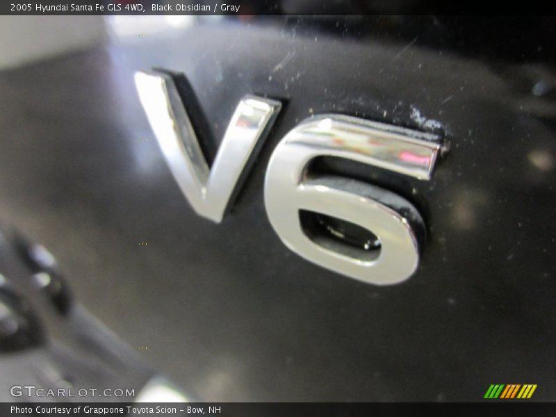 Black Obsidian / Gray 2005 Hyundai Santa Fe GLS 4WD
