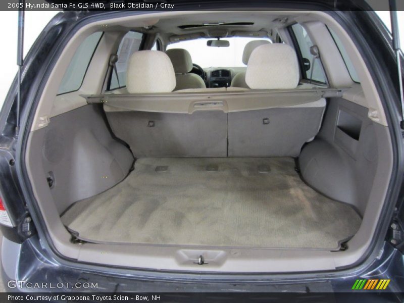 Black Obsidian / Gray 2005 Hyundai Santa Fe GLS 4WD