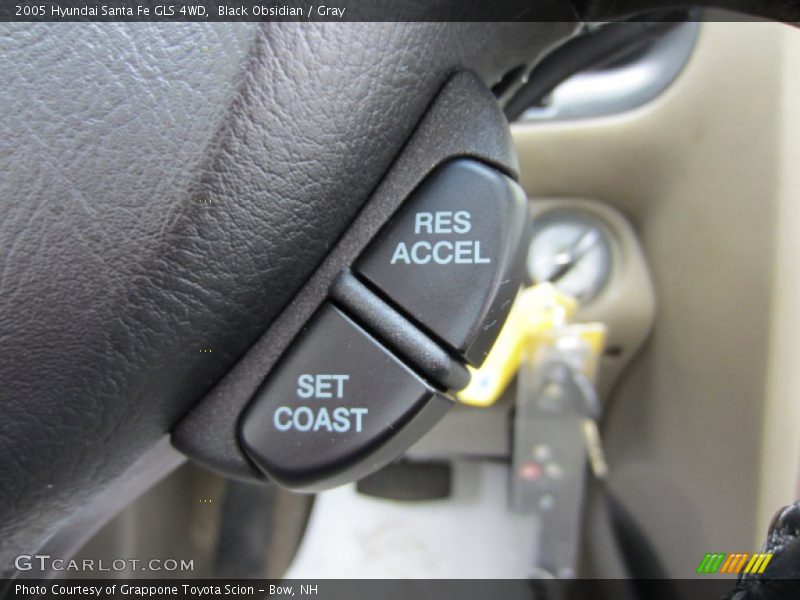 Black Obsidian / Gray 2005 Hyundai Santa Fe GLS 4WD