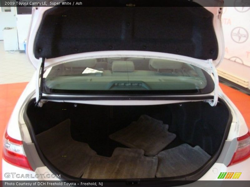 Super White / Ash 2009 Toyota Camry LE