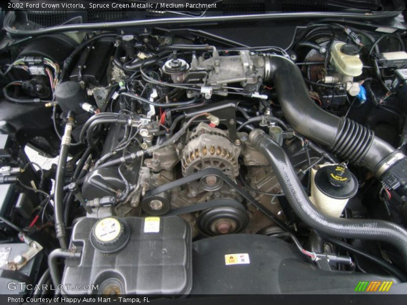 Spruce Green Metallic / Medium Parchment 2002 Ford Crown Victoria
