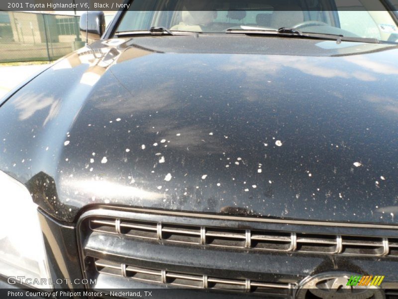 Black / Ivory 2001 Toyota Highlander V6