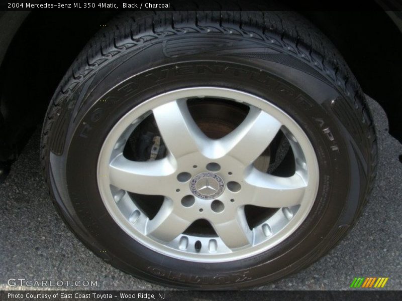 Black / Charcoal 2004 Mercedes-Benz ML 350 4Matic