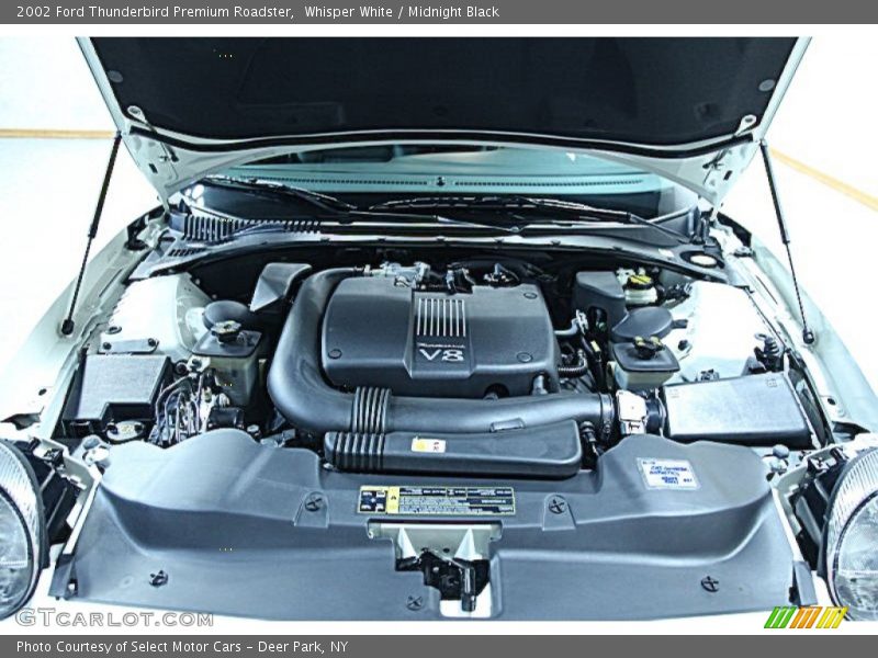 Whisper White / Midnight Black 2002 Ford Thunderbird Premium Roadster