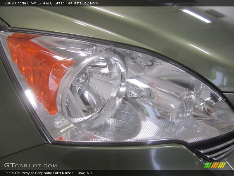 Green Tea Metallic / Ivory 2009 Honda CR-V EX 4WD