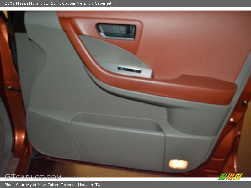 Door Panel of 2003 Murano SL