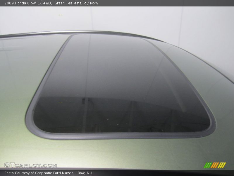 Green Tea Metallic / Ivory 2009 Honda CR-V EX 4WD