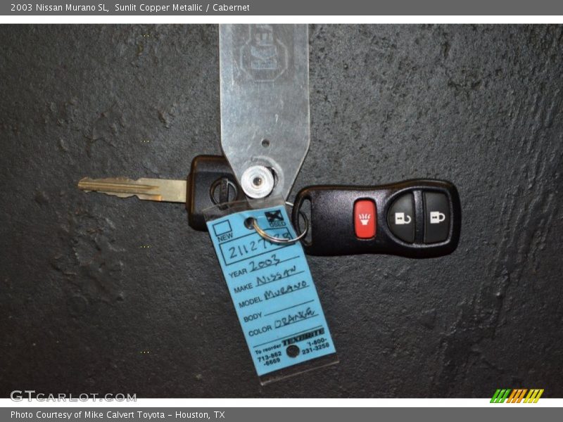 Sunlit Copper Metallic / Cabernet 2003 Nissan Murano SL