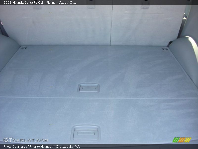Platinum Sage / Gray 2008 Hyundai Santa Fe GLS
