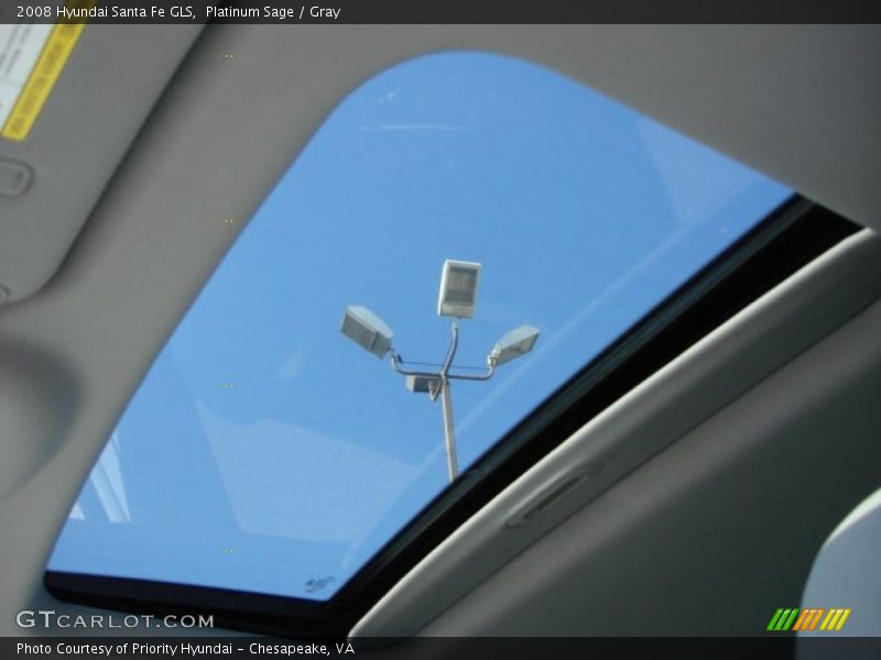 Platinum Sage / Gray 2008 Hyundai Santa Fe GLS