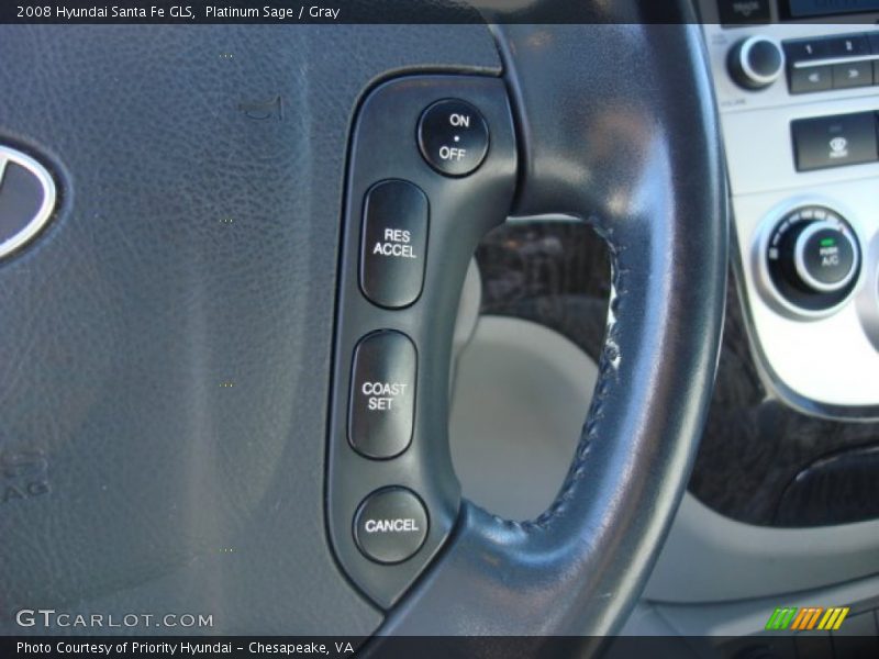 Platinum Sage / Gray 2008 Hyundai Santa Fe GLS