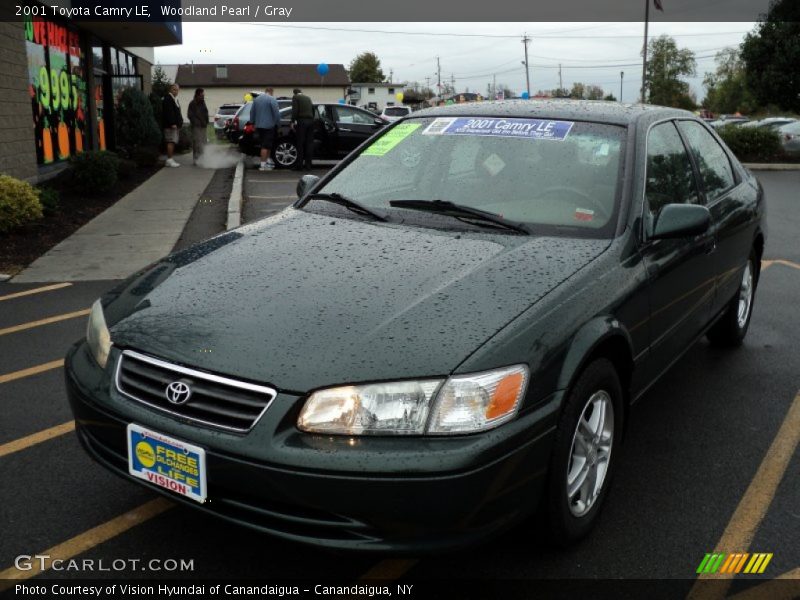 Woodland Pearl / Gray 2001 Toyota Camry LE